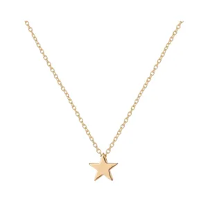 Collar con Colgante de Acero Estrella Dorado