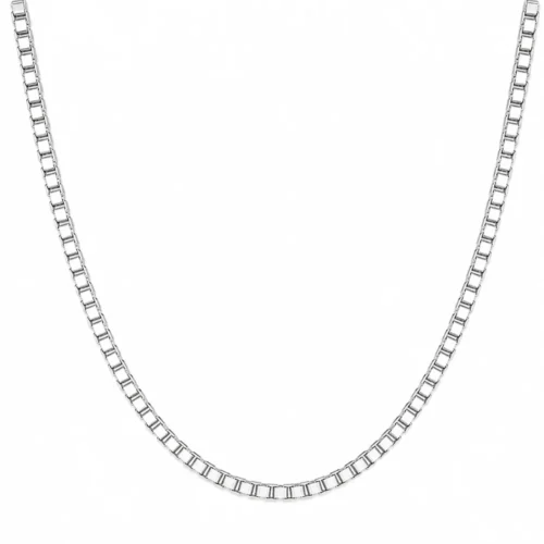 Cadena Plateada Veneciana 2 mm 55 cm — Silverglam